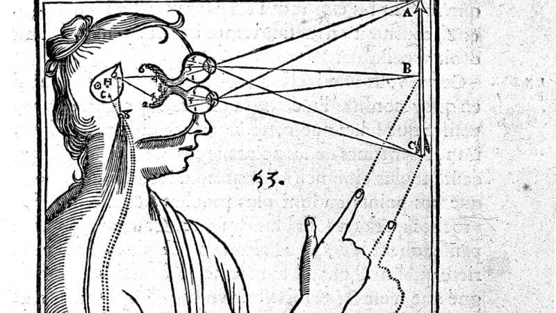 A diagram outlining the coordination of visual and muscle mechanisms, from Rene Descartes' L'Homme (published in 1664). Image from the Wellcome Trust Library.