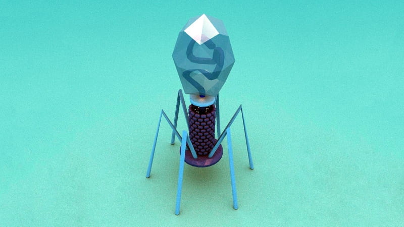 This is a 3D rendering of a bacteriophage, a virus that infects and replicates within a bacterium. Oona Räisänen/WIKIMEDIA COMMONS