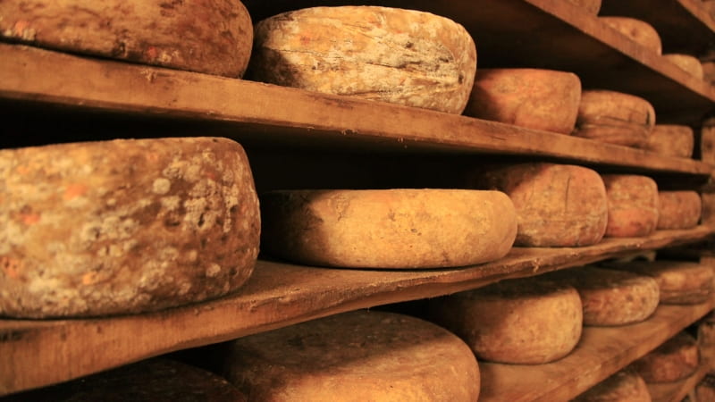 Aged cheese wheels in Italy, via Pexels