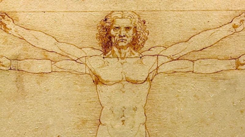 Leonardo DaVinci's Vitruvian Man reflects the artist's perception of the ideally proportioned man.
